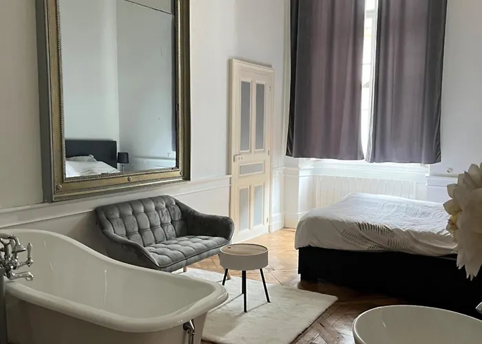 Appartement Au Palais - Wifi